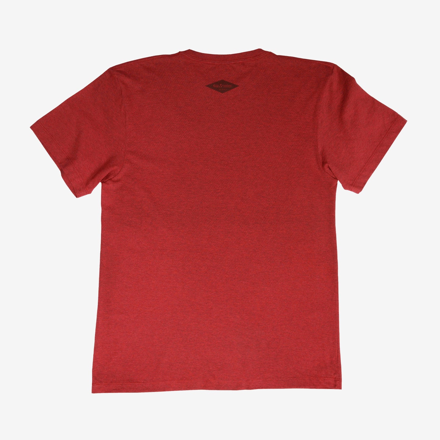 backyard-t-shirt-w9 Shirt_Mtn_Back.jpg