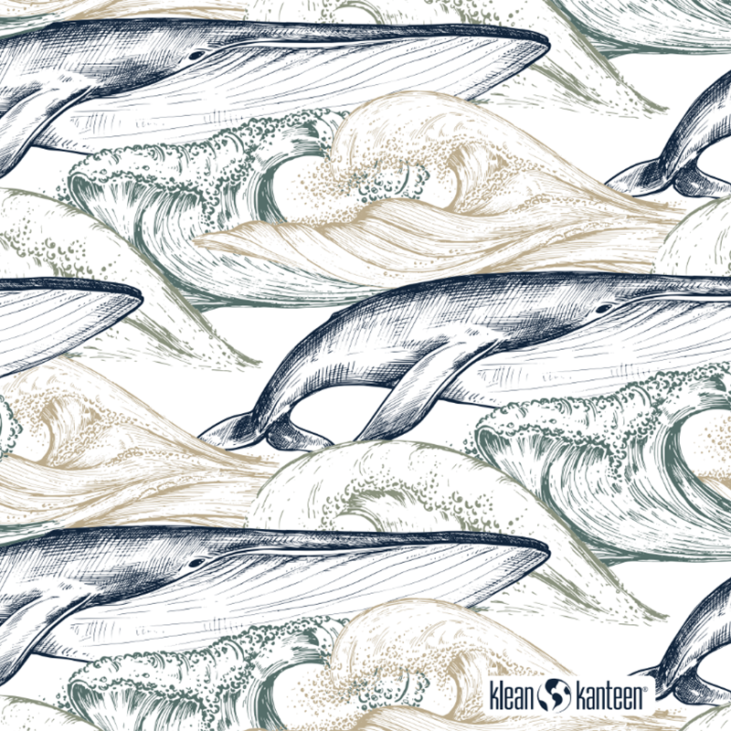 20oz-tkwide-with-twist-cap-ocean-day-o7 20oz_tkwide_bottle_seasonal_ocean_day_whale_artwork_square.png
