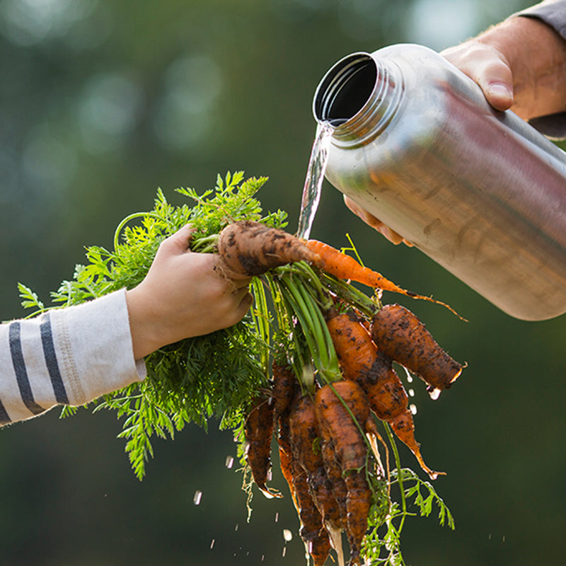 64oz-wide-with-loop-cap-v8 64oz_wide_mouth_bottle_carrots_rinse_square.jpg